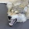 Ковер из волка 150 см с открытой пастью – Фотография № 3.